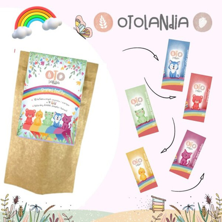 Otolandia Smaki Tęczy Liofilizowane Owoce  Mix Smaków 13 Owoców 10 Saszetek