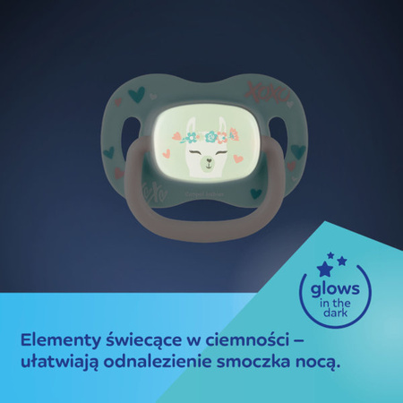 Canpol Smoczek Silikonowy Symertyczny 0-6 Panda